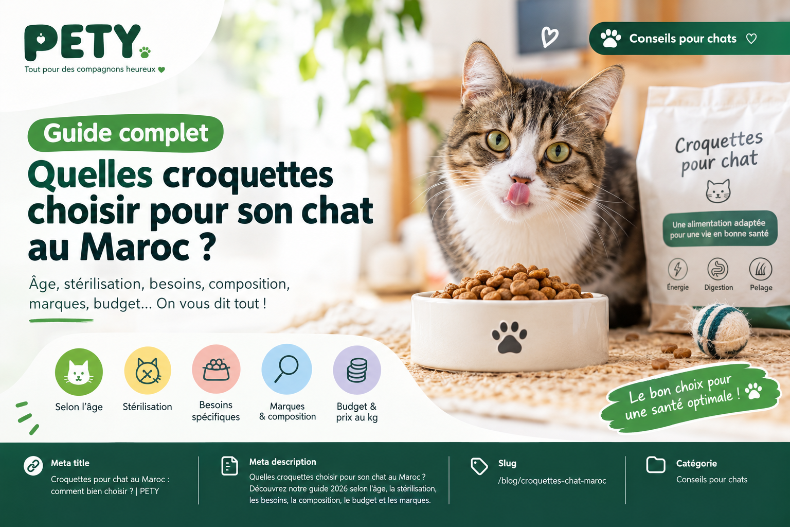 Quelles croquettes choisir pour son chat au Maroc ? Guide complet 2026