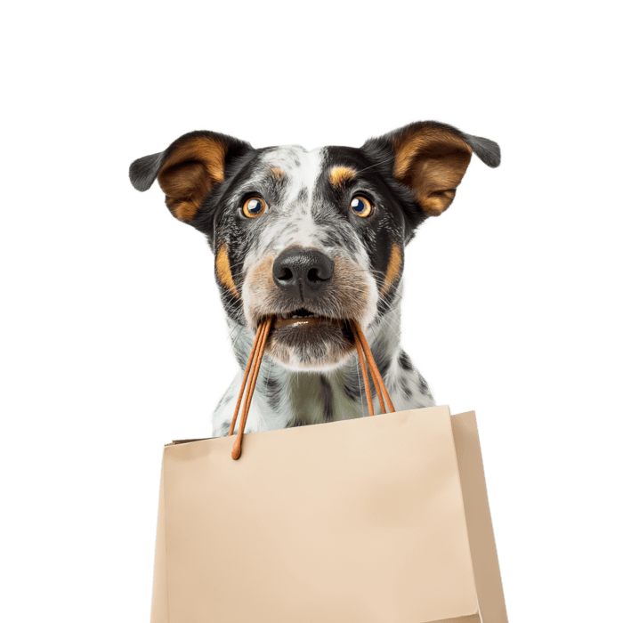 Chien qui joue