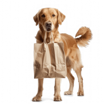 Chiot heureux