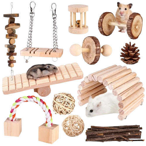 Accessoires cage
