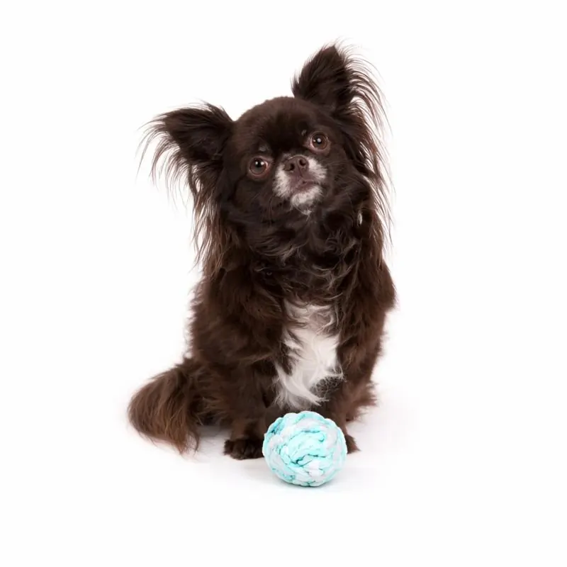 Flamingo Balle Nouée Pour Petit chien Ivar ( Turquoise | Rose ) miniature 2