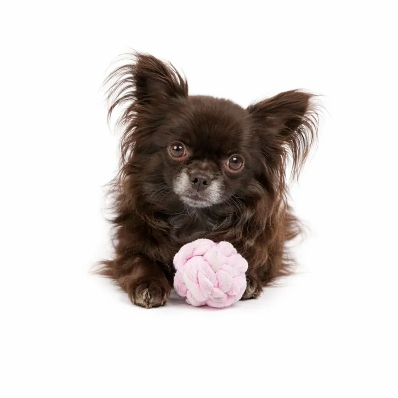 Flamingo Balle Nouée Pour Petit chien Ivar ( Turquoise | Rose ) miniature 3