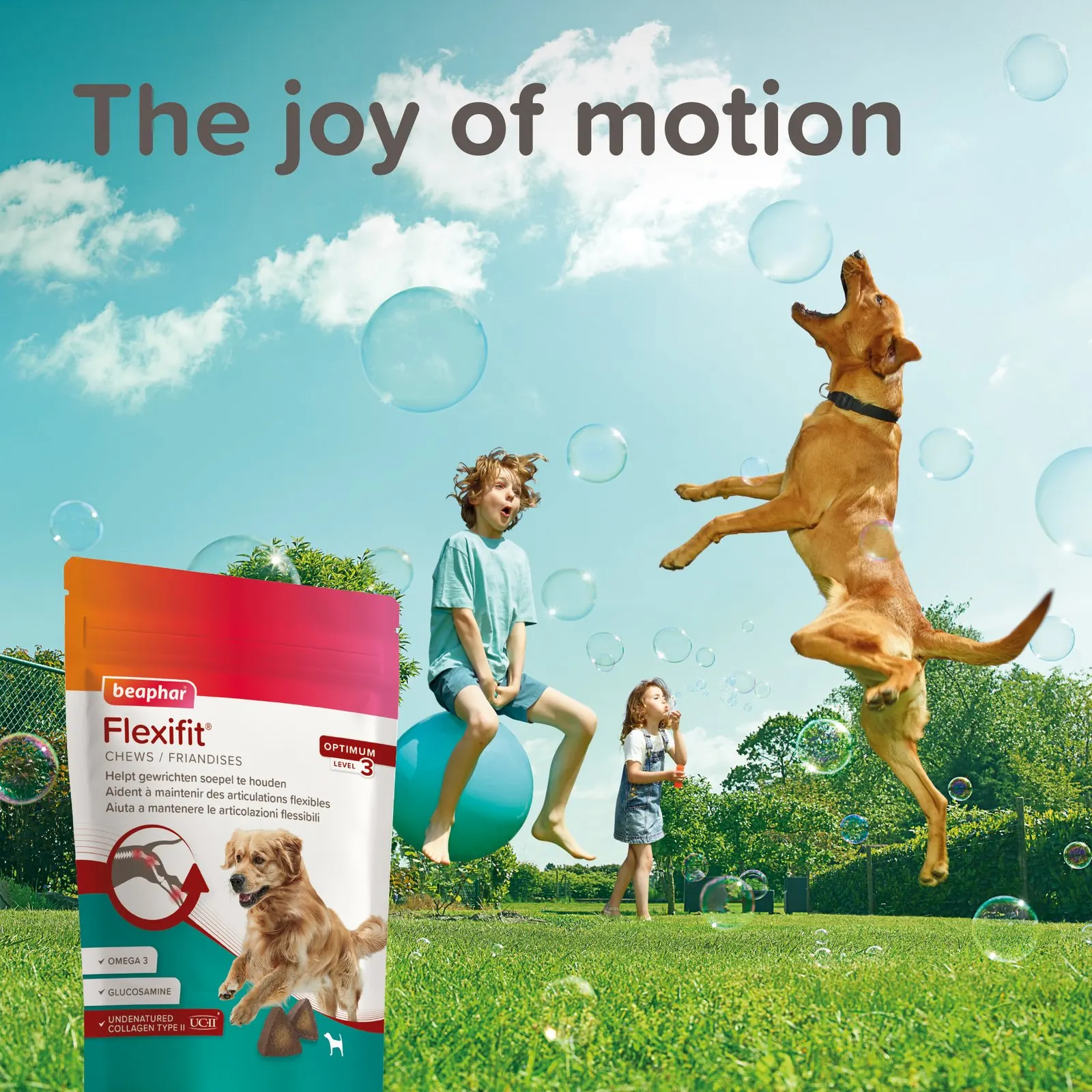 Flexifit Friandises Chien 150g – Beaphar miniature 2