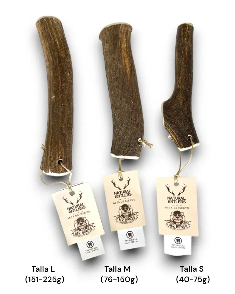 Bois de cerf pour chien – Anneau de dentition naturel pour chien miniature 2