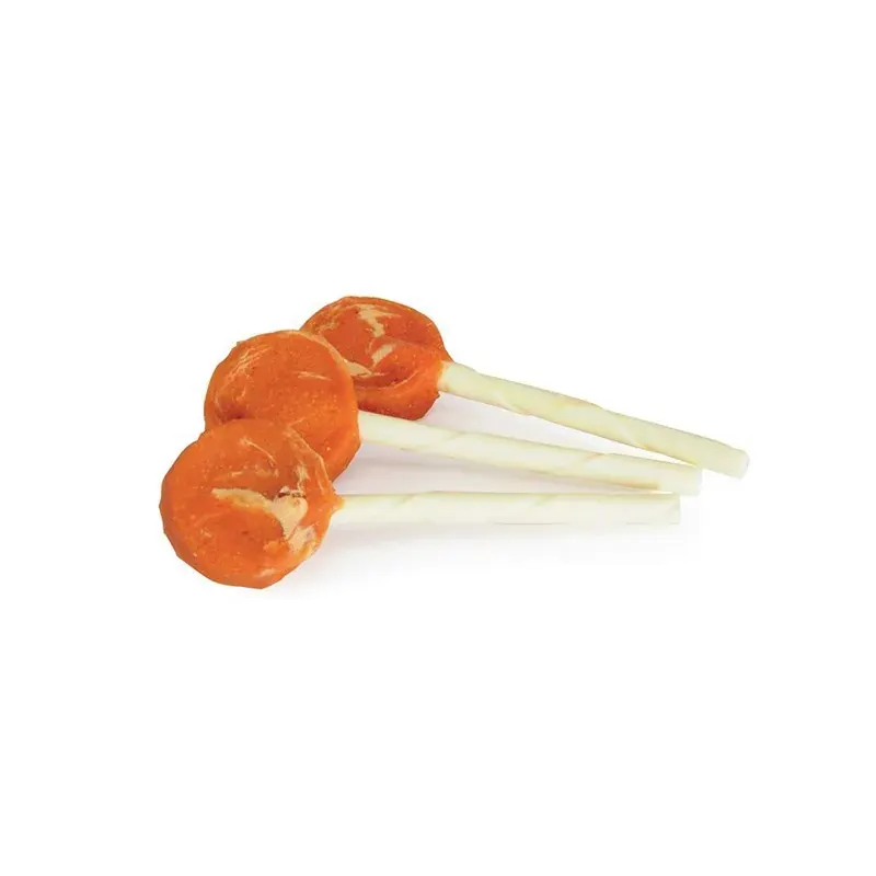 Camon Friandise Sucette pour Chien Poulet 80g miniature 2