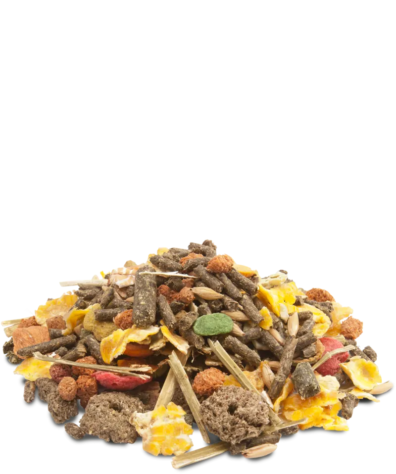 Cochon d’inde: Mélange riche en fibres 1 kg miniature 3