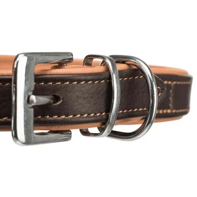 Collier Active Confort Cuir pour chien Grand et Moyen Trixie miniature 2