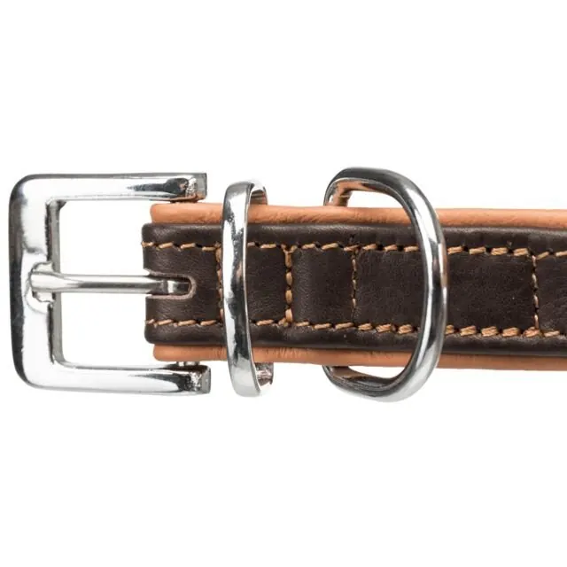 Collier Active Confort Cuir pour chien Grand et Moyen Trixie miniature 3