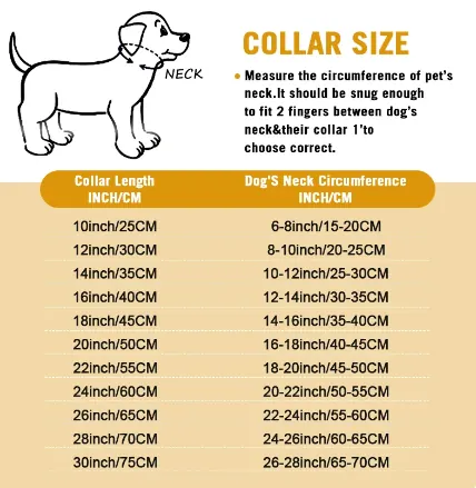 Collier en Acier Inoxydable pour Chien Plaqué Or miniature 5