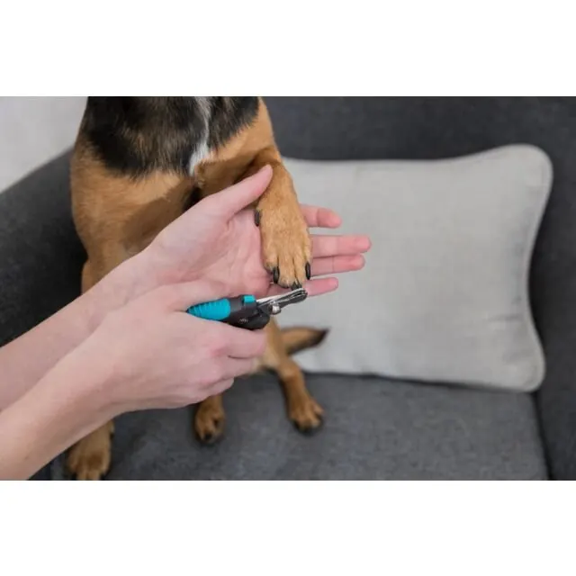 Coupe ongles (Trixie) pour chiens de petite et moyenne taille 16cm miniature 4