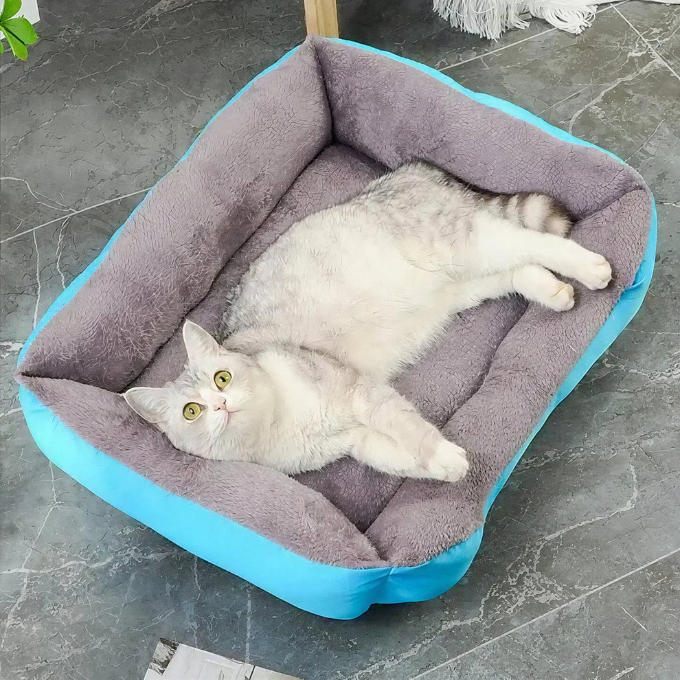 Coussin Pour Chat et Petit Chien miniature 4