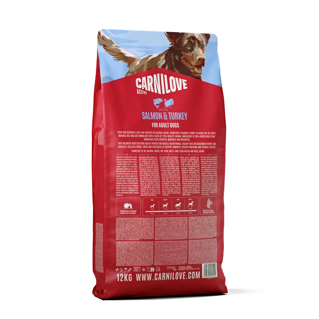 Croquettes Active au Saumon  à la Dinde pour Chiens Adultes miniature 2