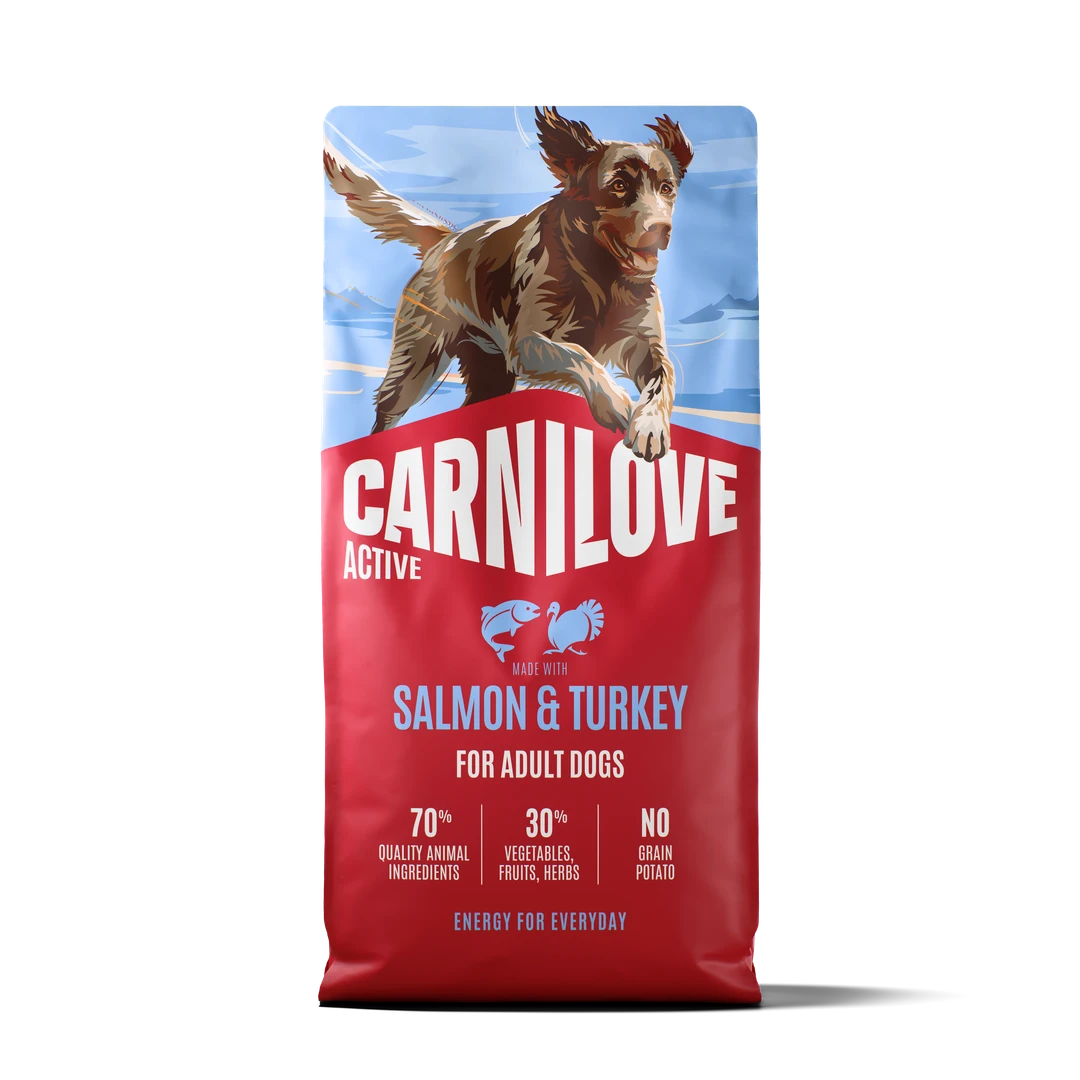 Croquettes Active au Saumon  à la Dinde pour Chiens Adultes
