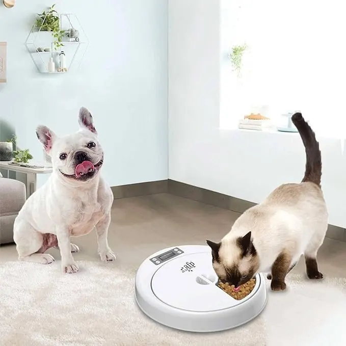 Distributeur Automatique de Nourriture Jusqu’à 5 Repas pour Animaux miniature 2