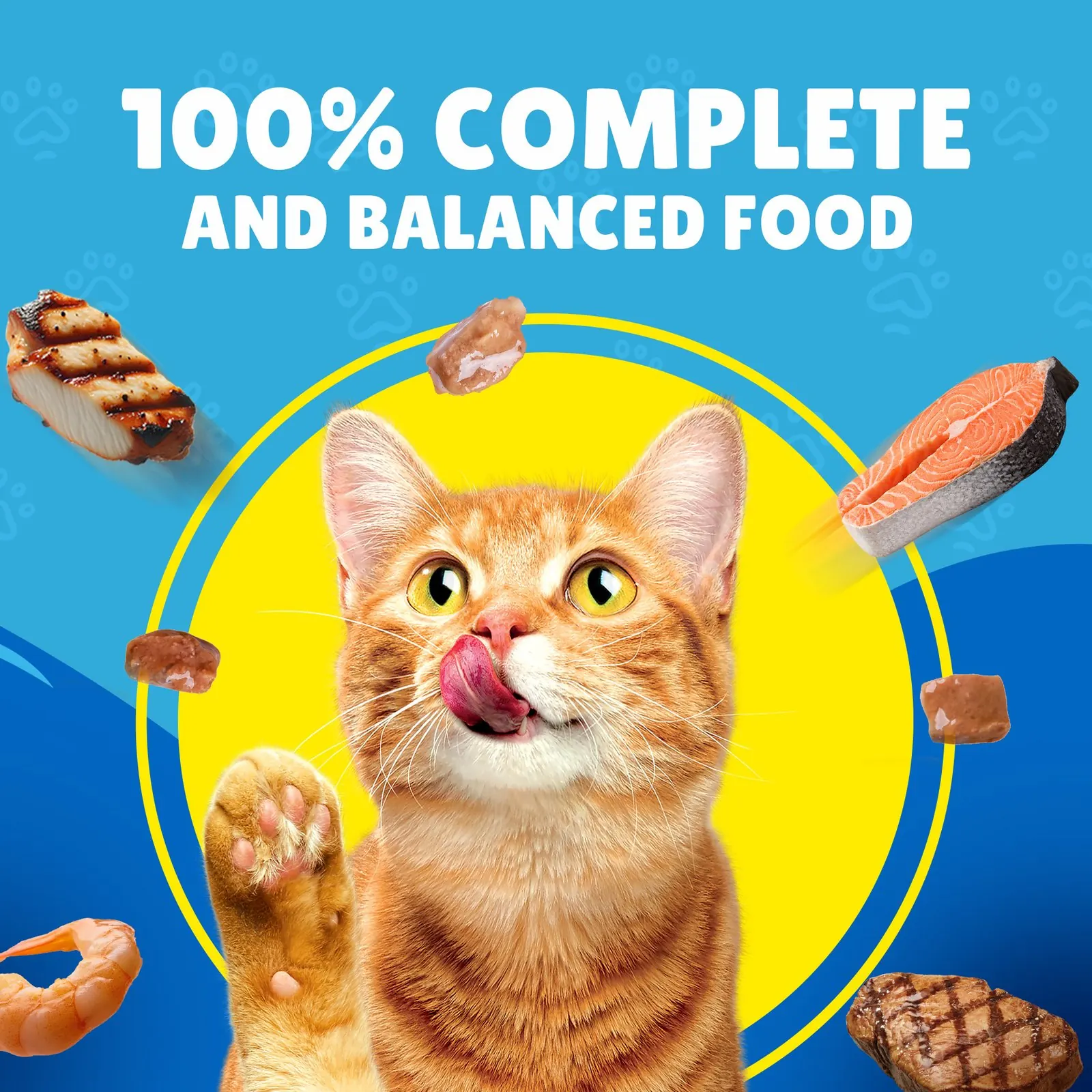 Friskies Pochon pour chats  Saumon en sauce 85 g miniature 2