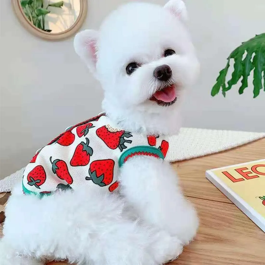 Gi et en Tricot Pour Chat et Chien ( X    X XX ) miniature 4