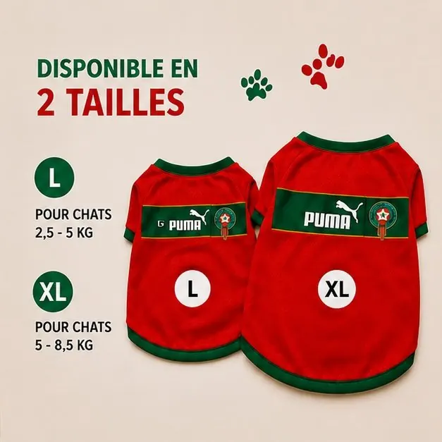 Gi et Equipe Nationa e du Maroc Pour Chat ( X ) miniature 2
