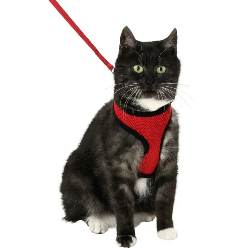 Harnais avec laisse Flamingo Chat Harms Rouge Et Noir miniature 3