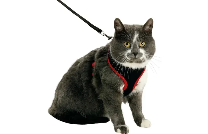 Harnais avec laisse Flamingo Chat Medium Harms Rouge Et Noir miniature 2