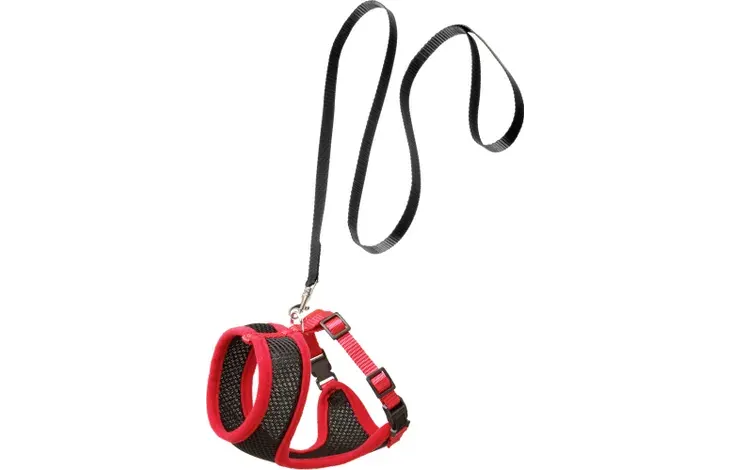 Harnais avec laisse Flamingo Chat Medium Harms Rouge Et Noir miniature 4