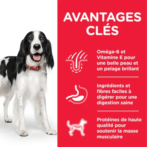 Hill’s Science Plan Adult Humide pour Chiens en boîte Boeuf (370g) miniature 3