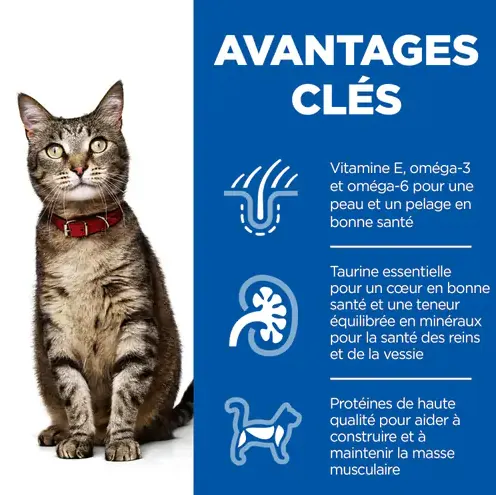 Hill’s Science Plan Croquettes pour Chat Adulte à l’Agneau  (1.5kg) miniature 2