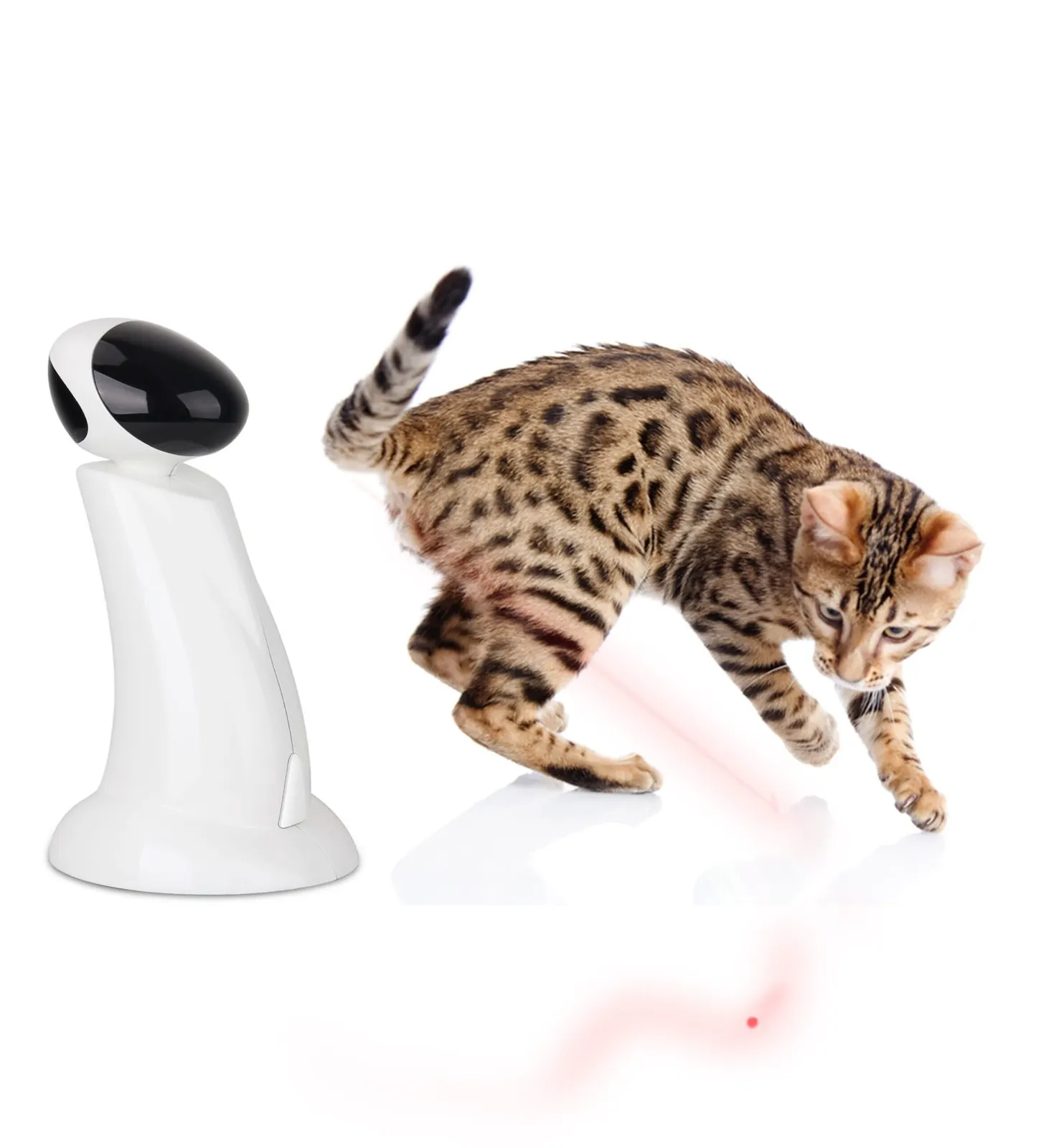 Jouet laser interactif (automatique) pour chat et chien miniature 3