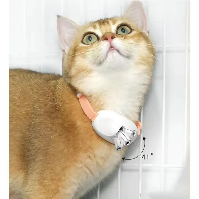 Jouet Automatique Collier Laser Interactif pour Chat miniature 2
