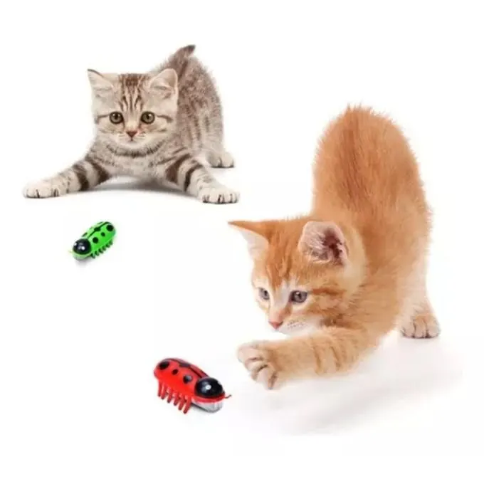 Jouet Interactif Coccinelle Pour Chats (fonctionne avec piles) miniature 2