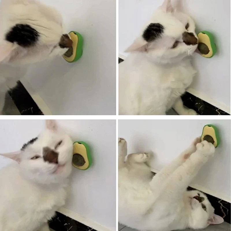 Jouet rotatif avec boule de catnip avocat pour chat miniature 2