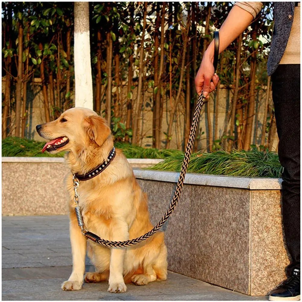 Laisse en Cuir avec Ressort pour Grand Chien (1.2m) miniature 3