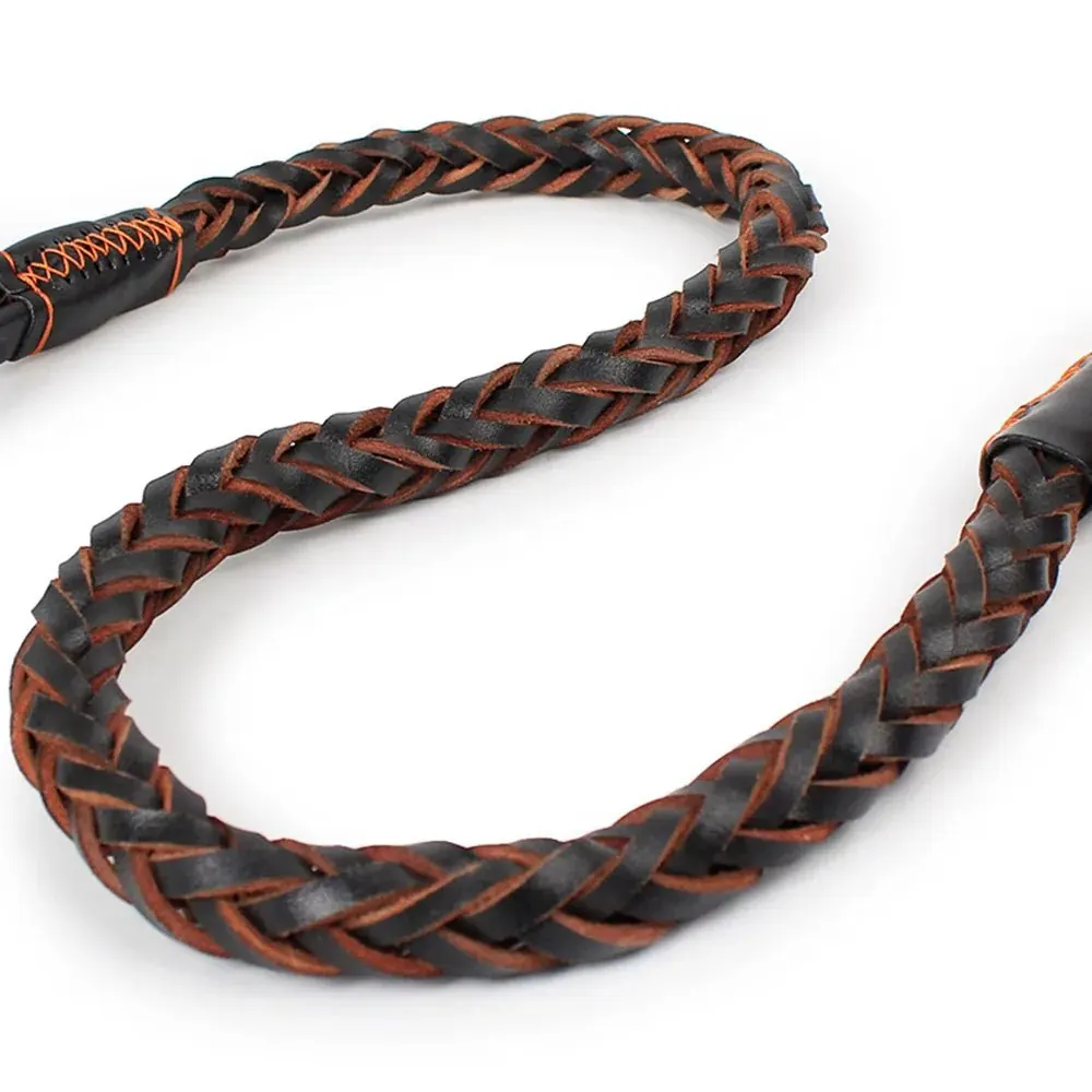 Laisse en Cuir avec Ressort pour Grand Chien (1.2m) miniature 5