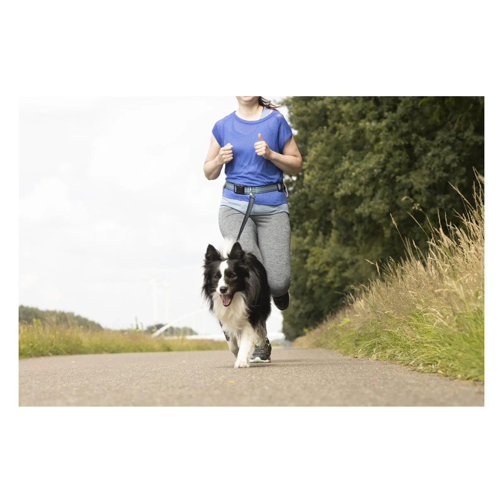 Laisse pour le jogging Flamingo avec ceinture ventrale Rono Bleu miniature 2