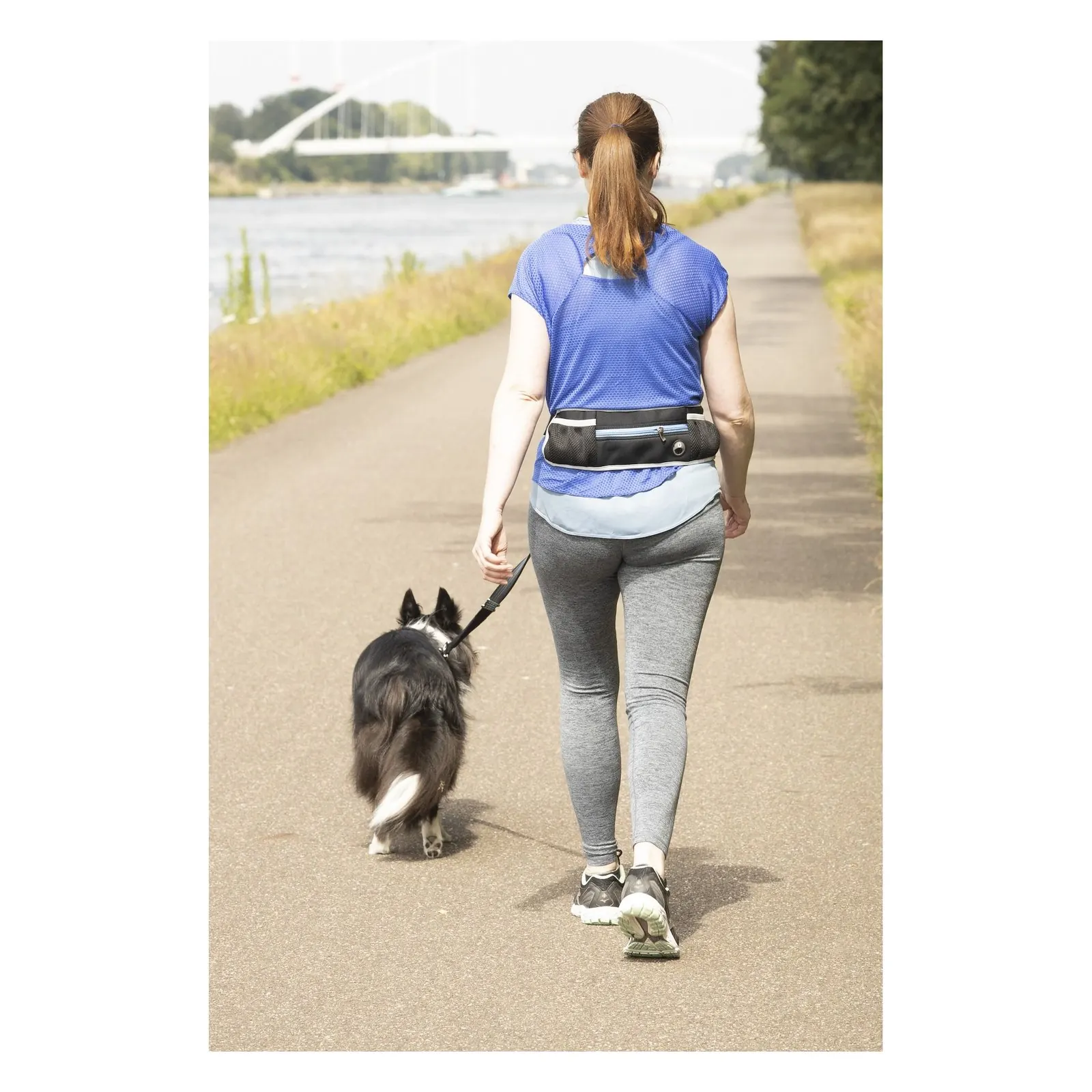 Laisse pour le jogging Flamingo avec ceinture ventrale Rono Bleu miniature 4
