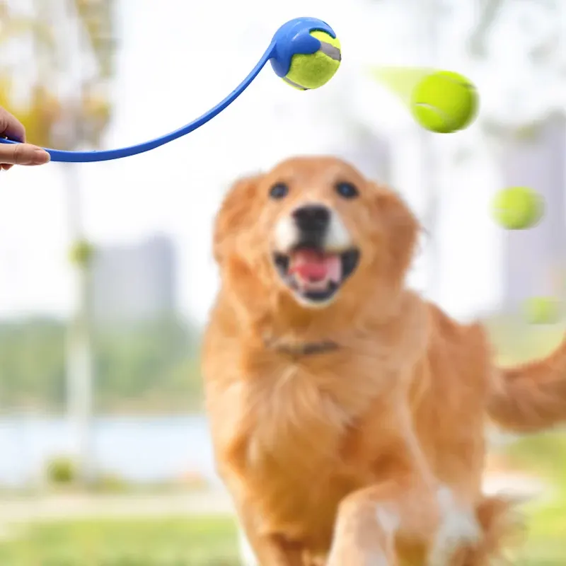Jouet Lanceur de balle pour chiens et Chat miniature 5