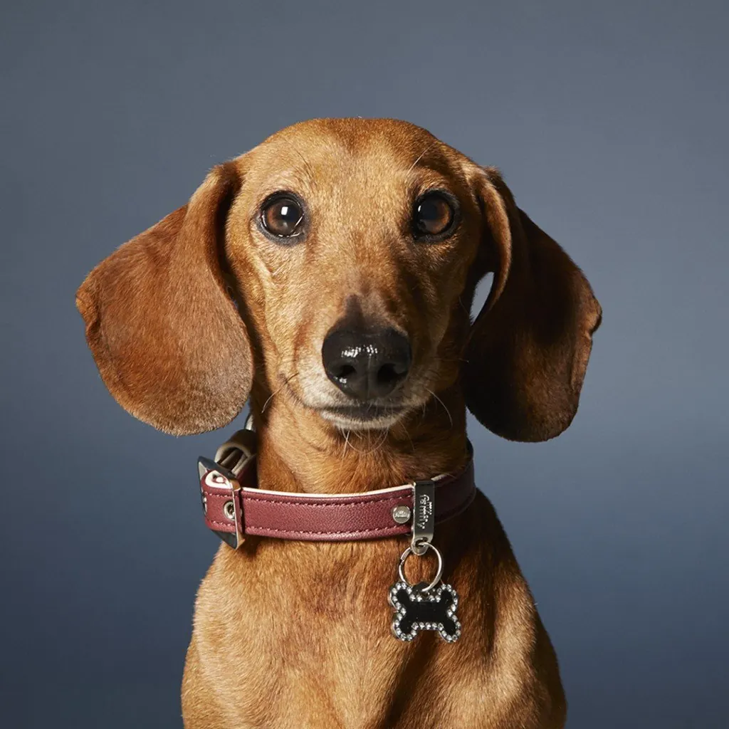 Médaille Basic Handmade Cercle Rose Petit miniature 2
