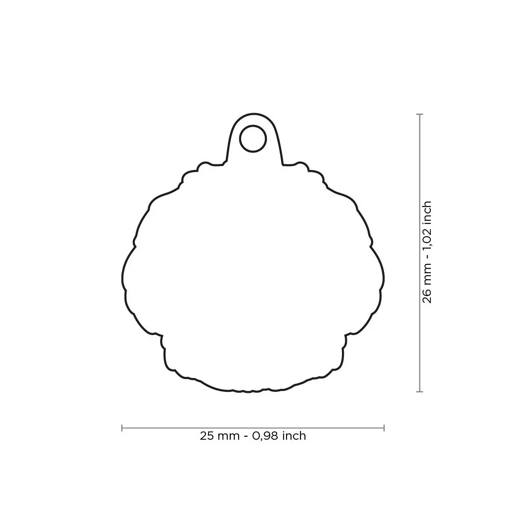 Médaille Friends Bolognese miniature 2