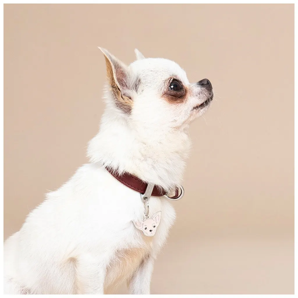 Médaille Friends Chihuahua Marron miniature 3