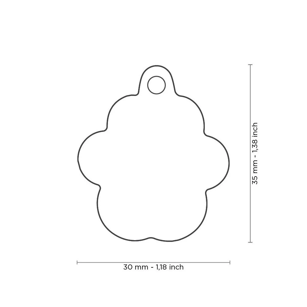 Médaille Shine Patte Grand Glitter Dorée miniature 3