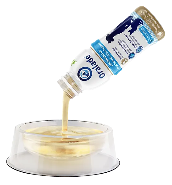 Oralade Advanced GI+ 500 ML miniature 3