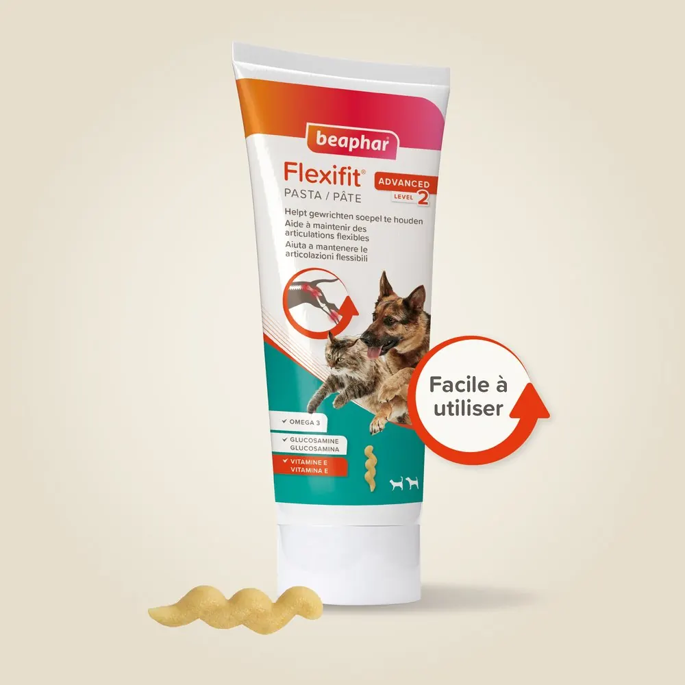 Pâte Articulations Pour Chien et Chat Flexifit® Beaphar 250g miniature 2