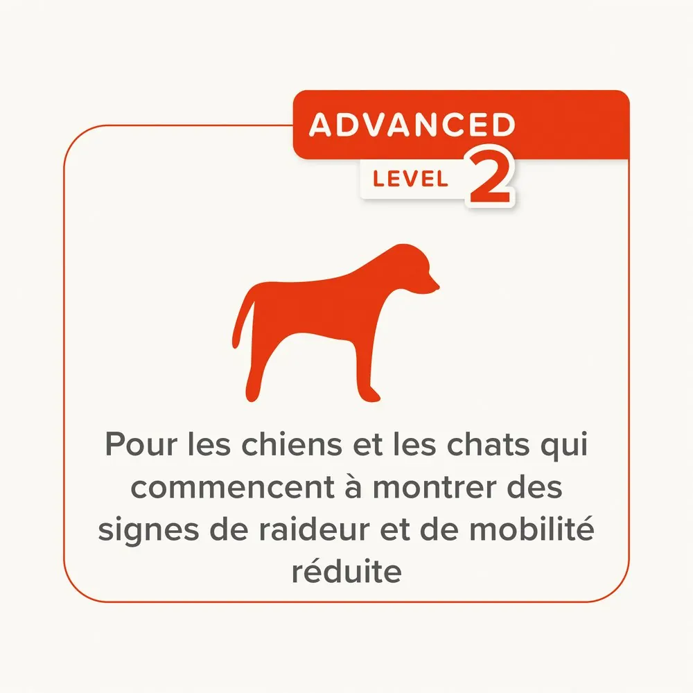 Pâte Articulations Pour Chien et Chat Flexifit® Beaphar 250g miniature 3