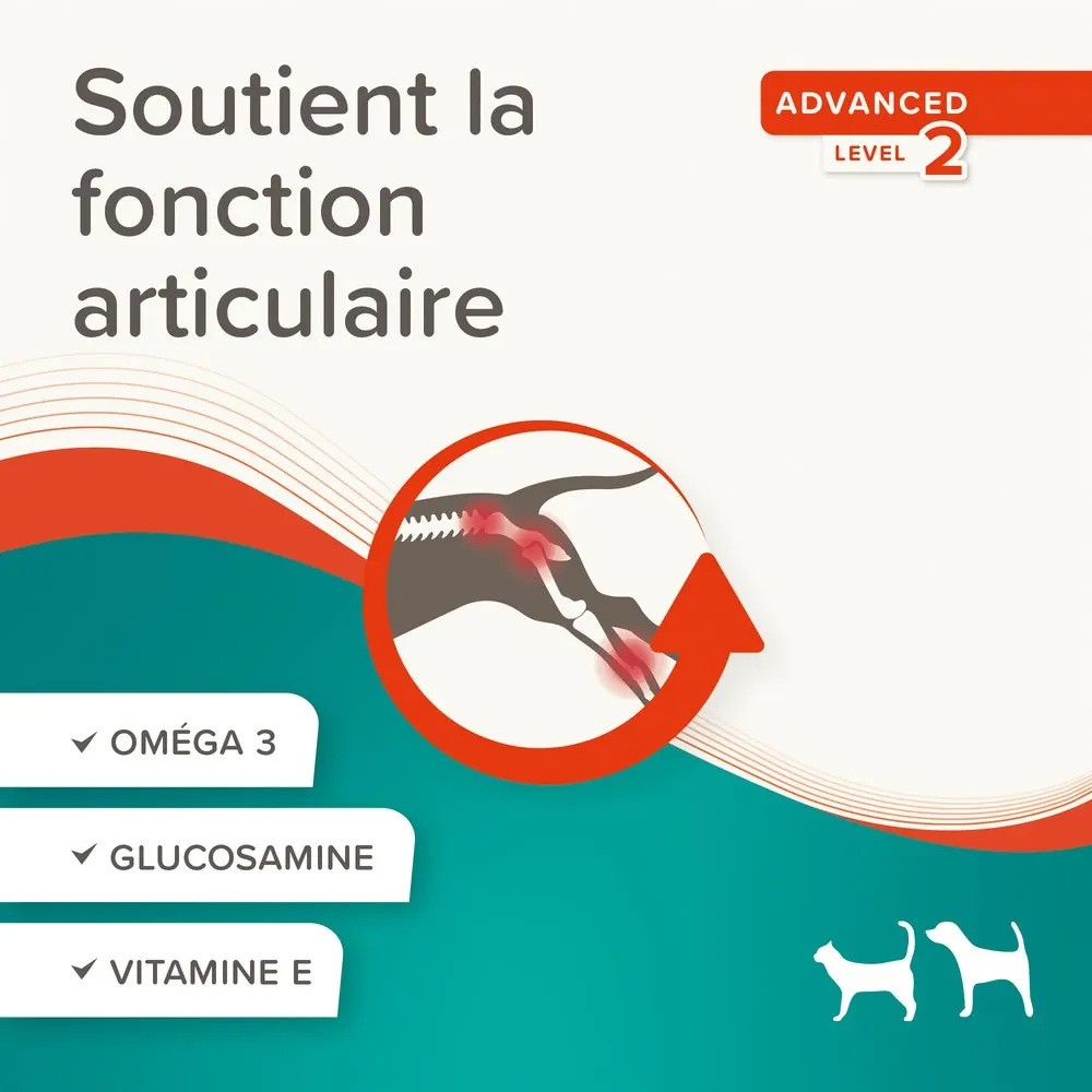 Pâte Articulations Pour Chien et Chat Flexifit® Beaphar 250g miniature 5