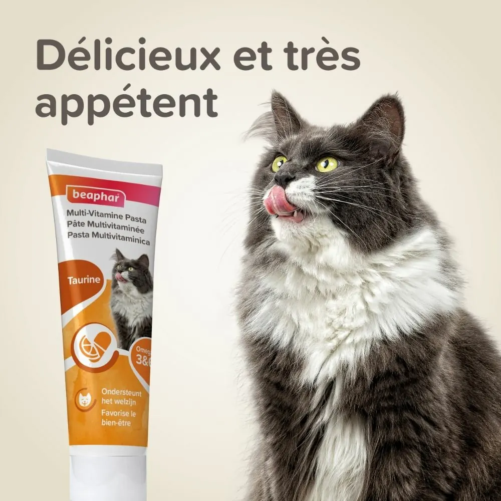 Pâte Multivitaminée à La Taurine et Aux Omégas Pour Chat Beaphar 100g miniature 2