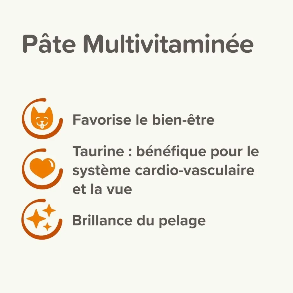 Pâte Multivitaminée à La Taurine et Aux Omégas Pour Chat Beaphar 100g miniature 4