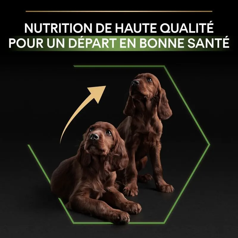 Pro Plan Large Athletic Puppy miniature 3