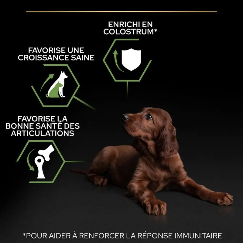 Pro Plan Large Athletic Puppy miniature 5