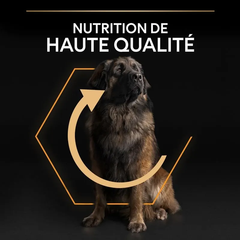 Pro Plan Large Robust Adult – Poulet 14 kg miniature 4