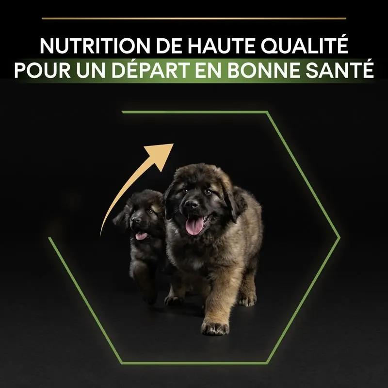 Pro Plan Large Robuste Puppy miniature 5
