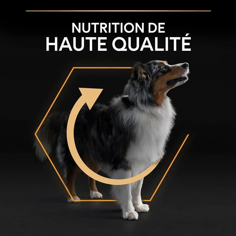 Pro Plan Medium Adult Everyday Nutrition pour chien 14kg miniature 4